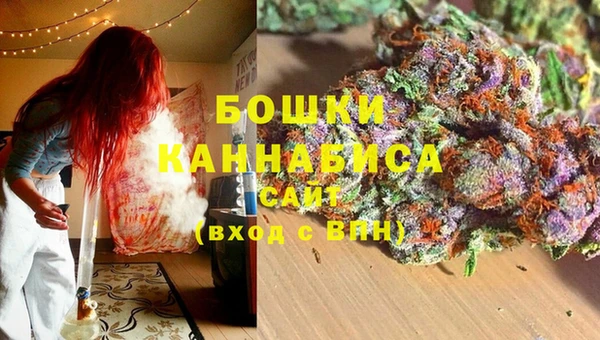 крисы Белоозёрский