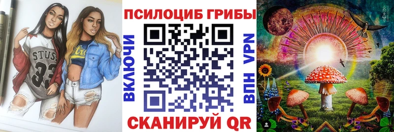 Псилоцибиновые грибы прущие грибы магазин продажи ОМГ ОМГ зеркало Городовиковск